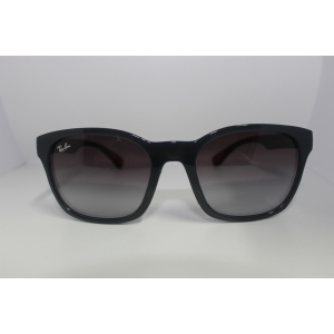 Ray-Ban RB4197 6006/8G