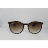 Ray-Ban RB2204 902/51